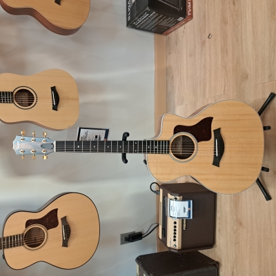 Taylor Guitars - 214CE-DLX V1